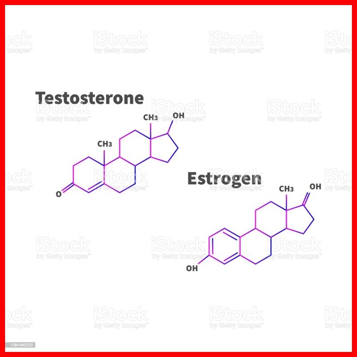 формулы мужских и женских половых гормонов
