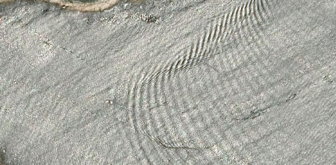 У блогеров в интернете можно встретить недоумение или фантастические домыслы по поводу аккуратных дорожек на дне мелководных водоёмов.-5