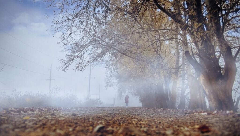    Фото: flickr.com Юлия Дидух