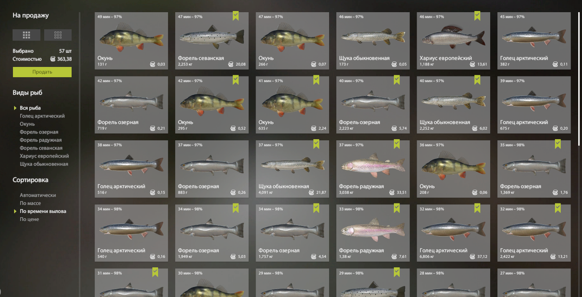 улов за 40 минут