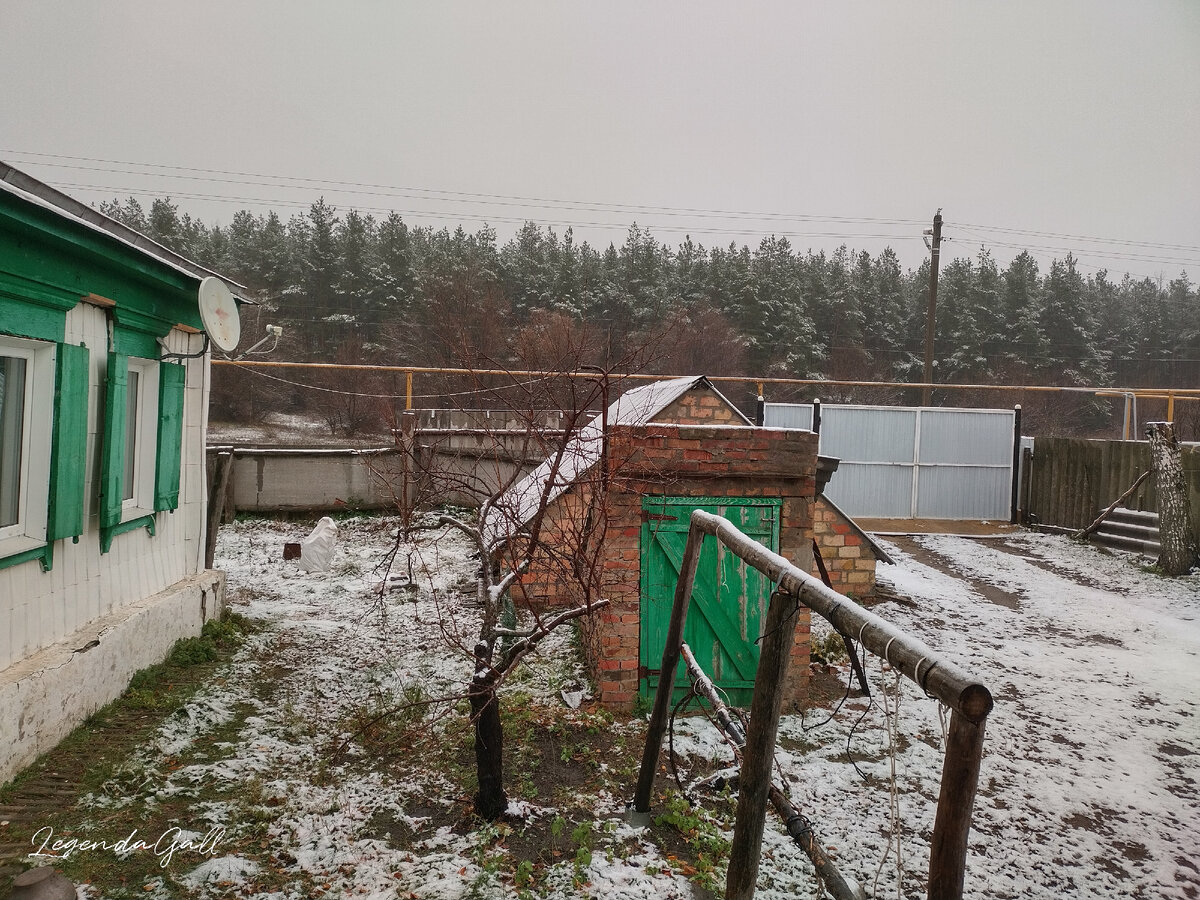 10 часов утра. Еще все в снегу, но уже идет дождь