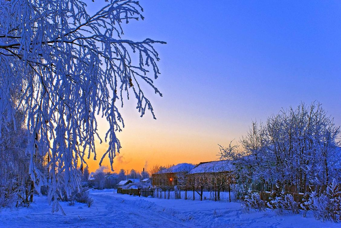 Фото красивой зимы вечером