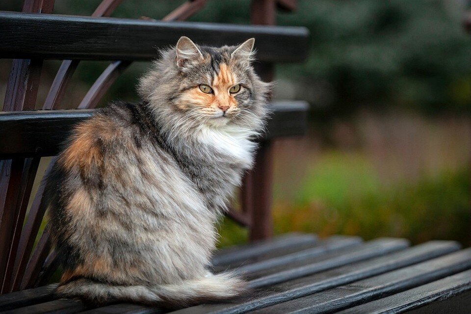       Kanyshev Andrey/ShutterStock/Fotodom.ru