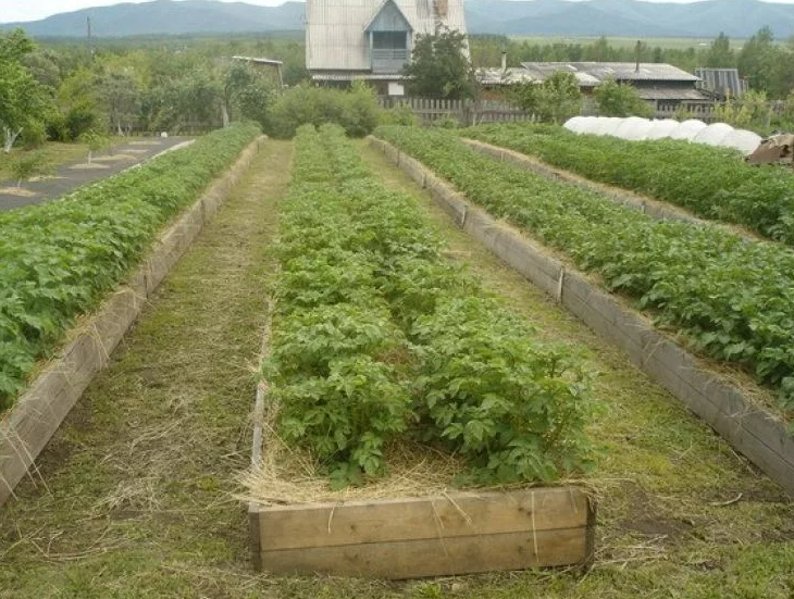 Фотография взята из источника 2sotki.ru