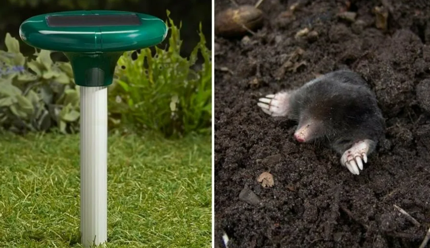 Фотография взята из источника tytan-webinars.ru