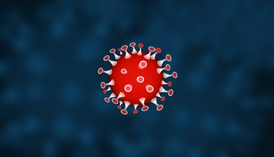 Зря мы думали, что все смертно: вирус в определенном смысле бессмертен