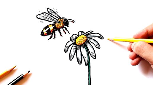 Как нарисовать пчелу и раскраска пчела