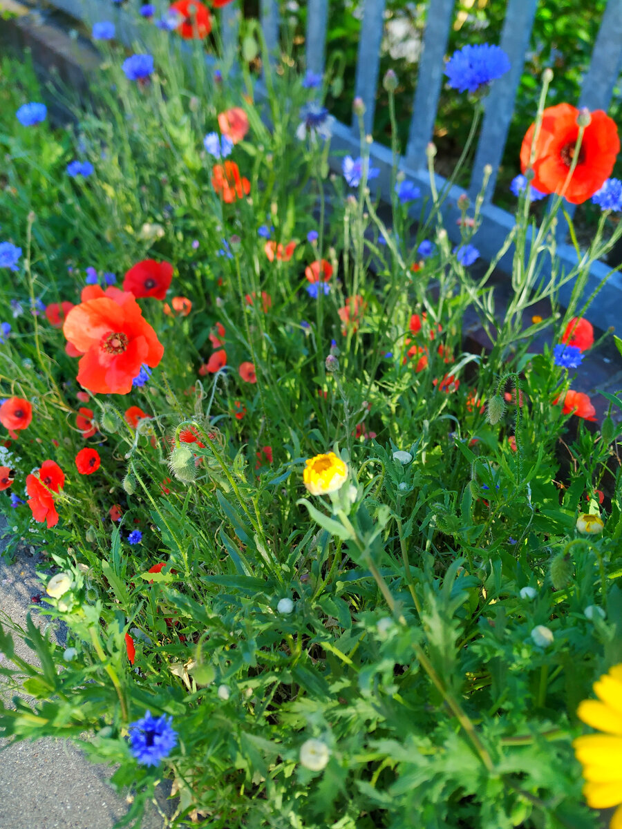 По дороге на новую работу