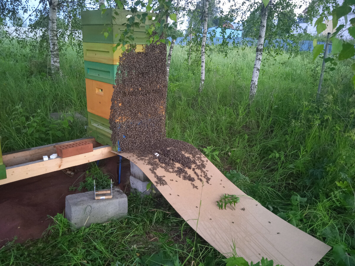 Импровизированные сходни из оргалита. Используем подручные средства