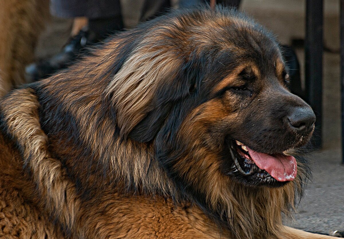 Фото из открытого доступа