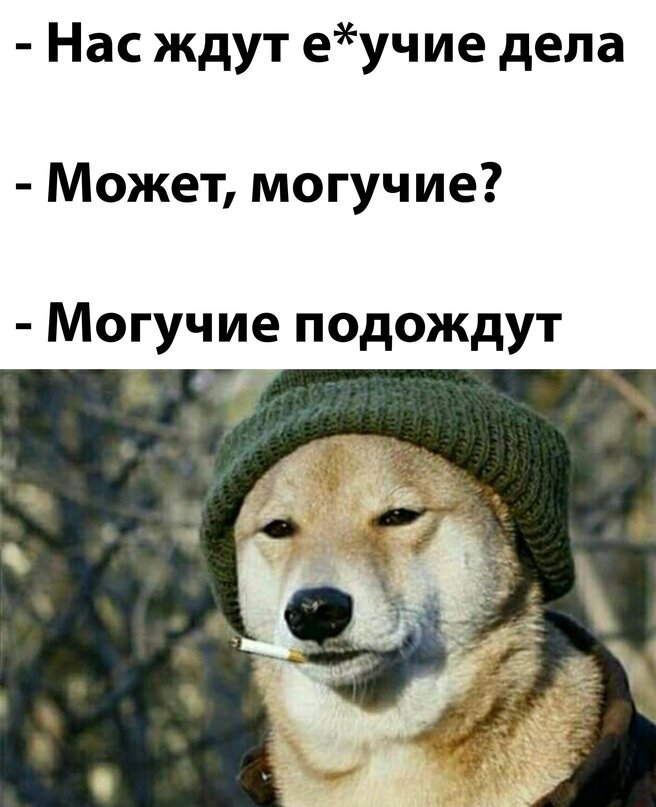 Актуальные мемы декабрь 2025 Продолжаю делать подборки приколов для подзарядки позитивом Алиса Фомина Дзен