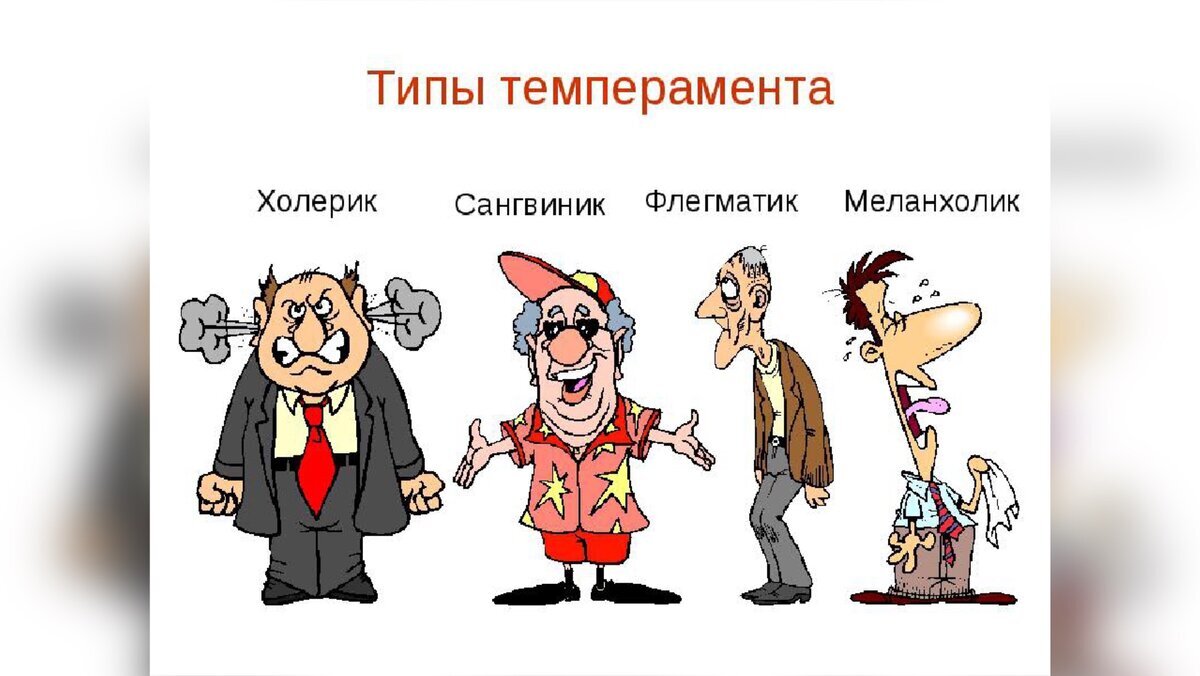 Типы темперамента