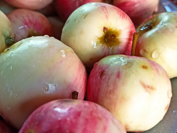 яблоки сорта Башкирка, отлично идут на сок, личный архив