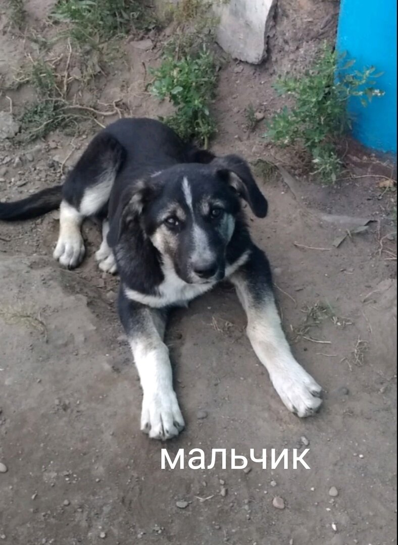 Мальчик
