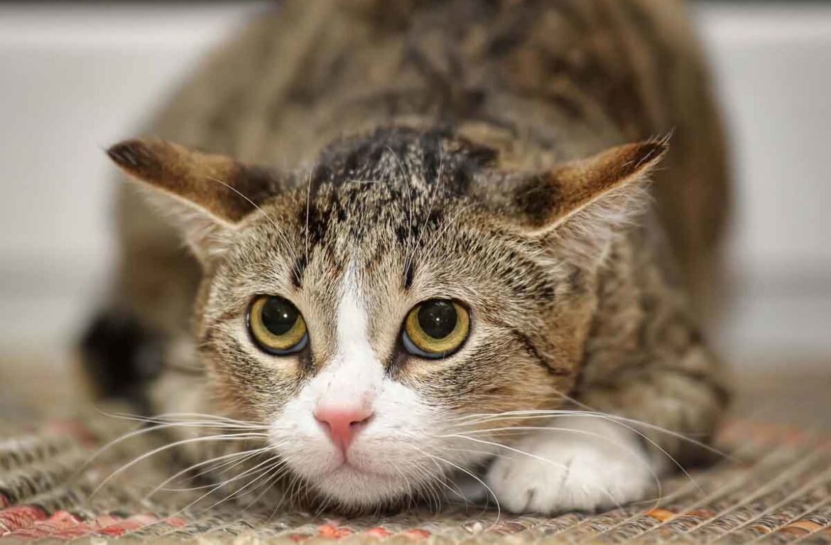 Что-то мне не по себе