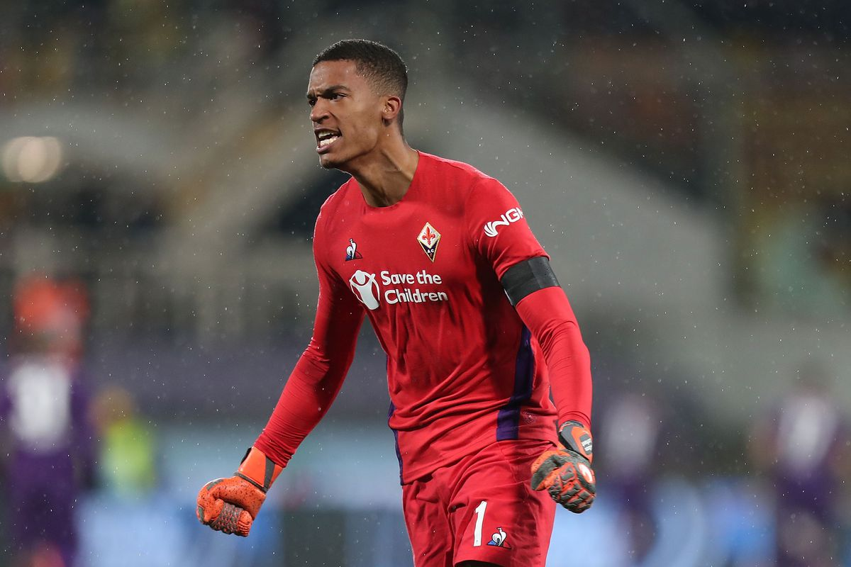 Источник: https://www.violanation.com/fiorentina-transfer-rumors-news-reports/2019/6/29/20011988/fiorentina-alban-lafont-nantes-official-transfer-loan-terms-bartlomiej-dragowski-mattia-perin-buy