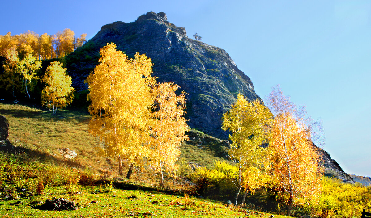 Фотография, стихотворение Василия Глуцкого
