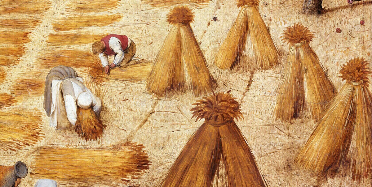 Картина жатва питер брейгель старший. Питер брейгель жатва. «жатва (август)». Жатва питер. Жатва питер.