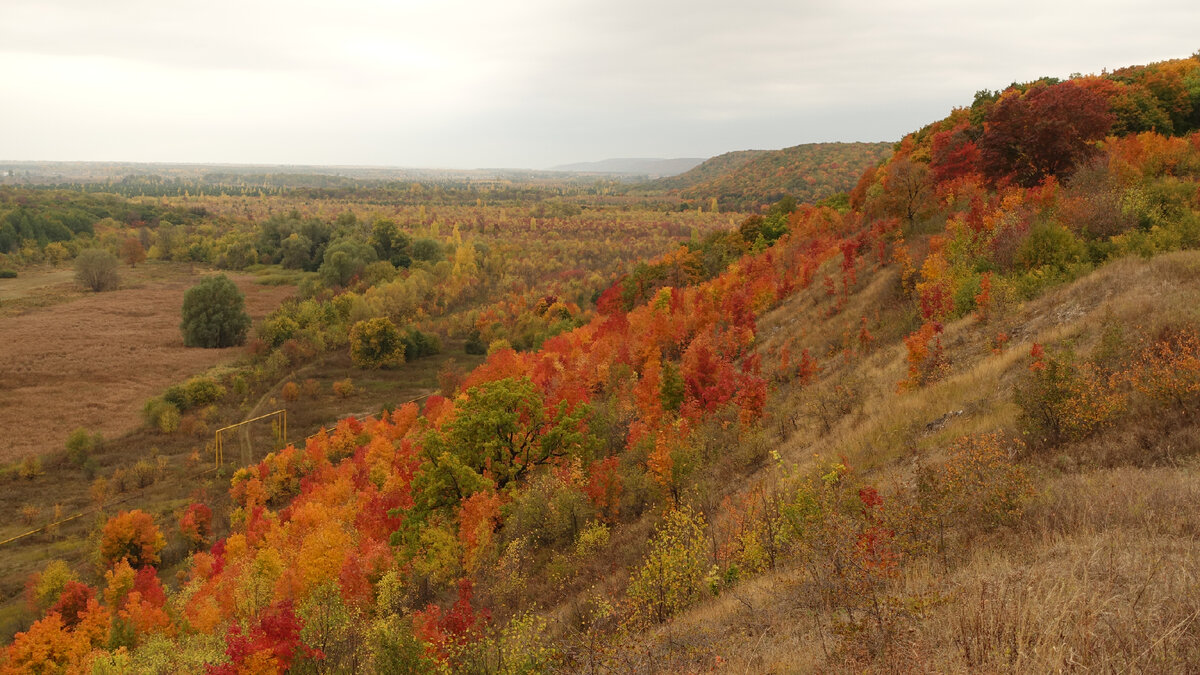 Железный волк Самарская лука