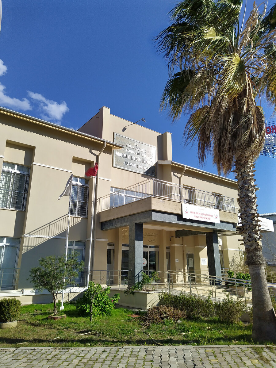 Все фото в статье мои.