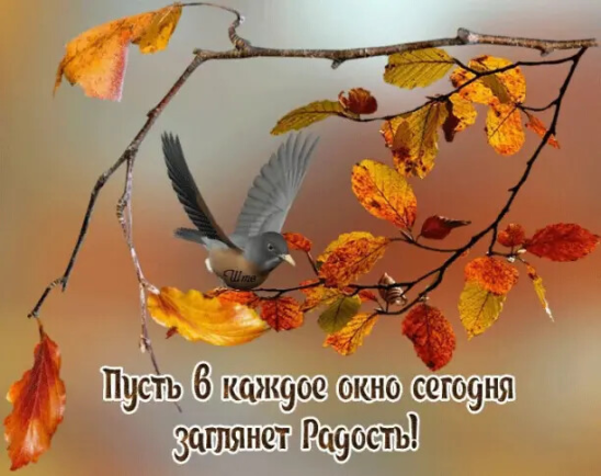 ...СЧАСТЬЯ, ВАМ ДОБРЫЕ ЛЮДИ!!!....