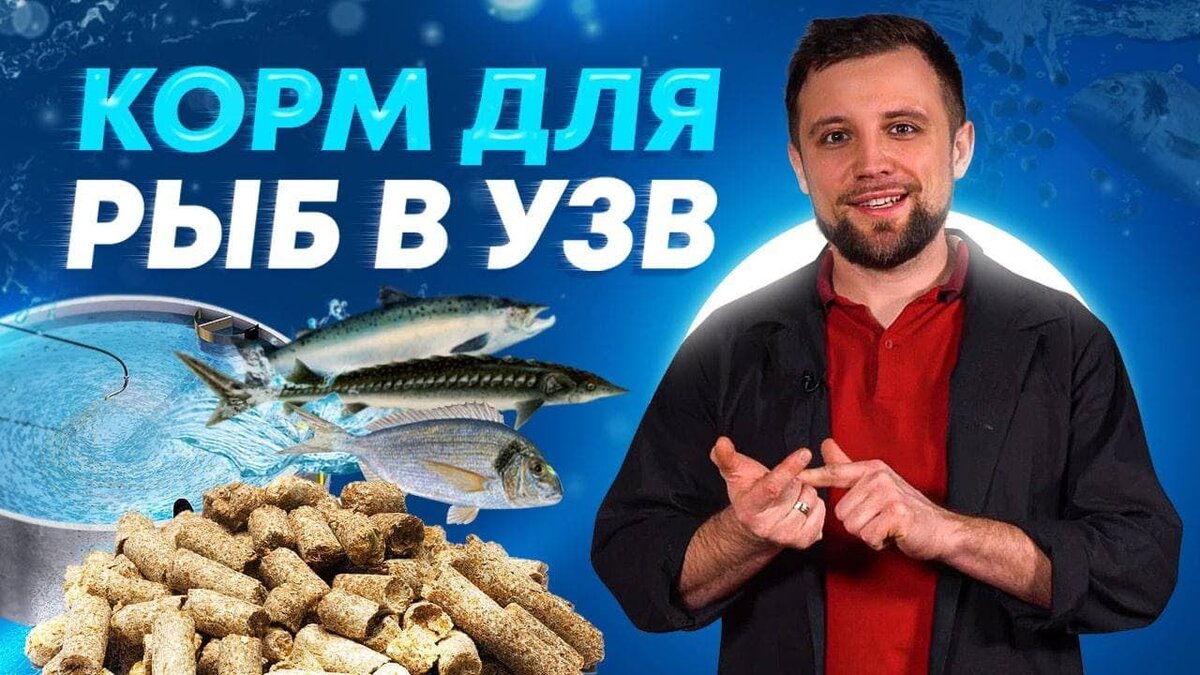 Где купить КОРМ для РЫБ УЗВ в УСЛОВИЯХ САНКЦИЙ?| Как расчитать расход и  правильно выбрать поставщика? | Антон Пельчер. Аквафермер | Дзен