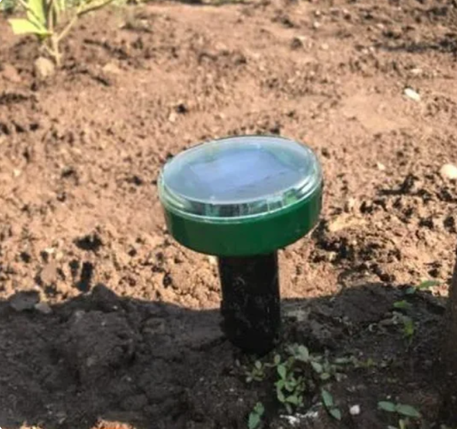 Простите за качество, фотографировала на свой старый телефон)