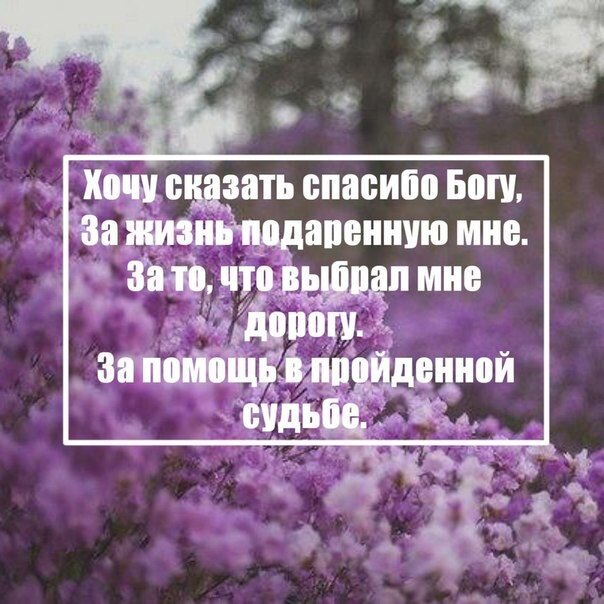 Всероссийская акция «Благодарность родителям «Спасибо за жизнь!»