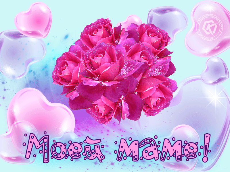 Она очень любила цветы! Такие как в картинке из сети Интернет тоже любила...