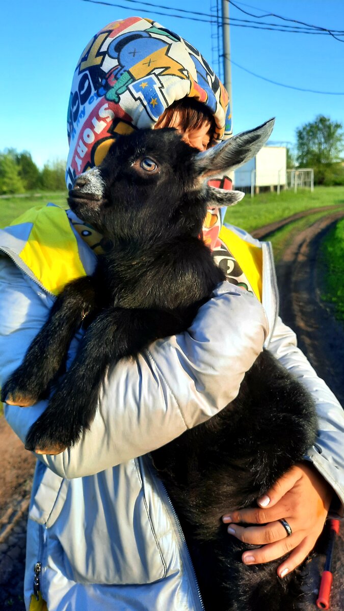 Соня и Ночка 