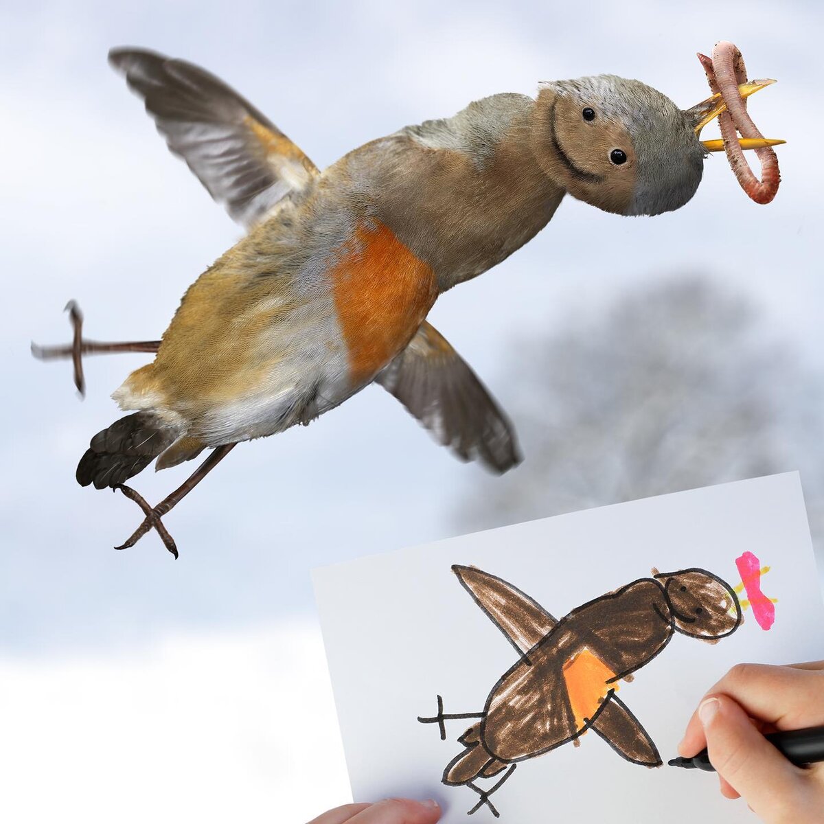 Автор Том Кёртис (Tom Curtis) 