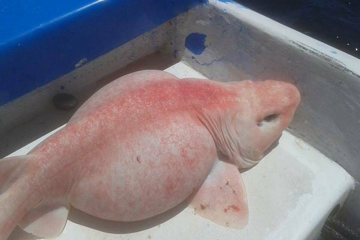 Источник: yandex.ru 