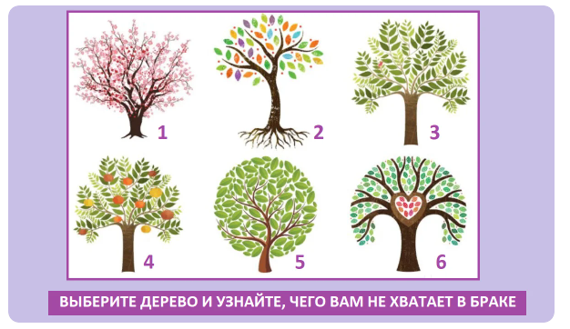 Изображение взято с открытых источников