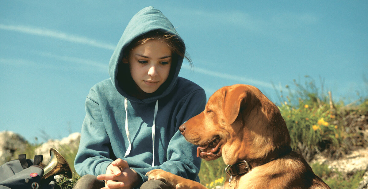 Кадр из киноленты "Белый Бог/Fehér isten"