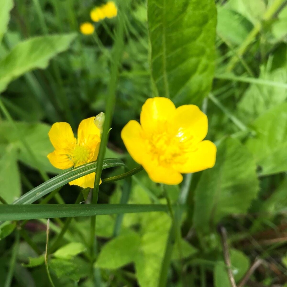 Фото: Исянова Э.Х.