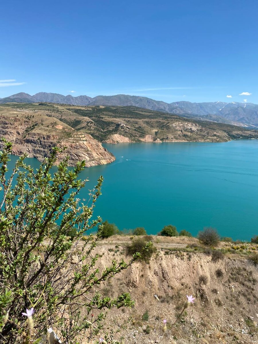 ташировское водохранилище пляж