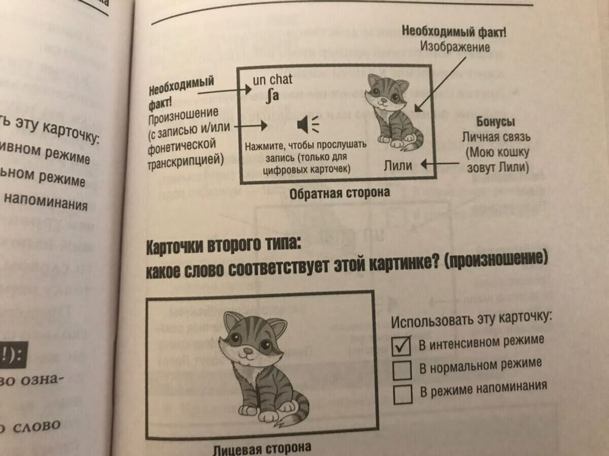 Добавьте описание