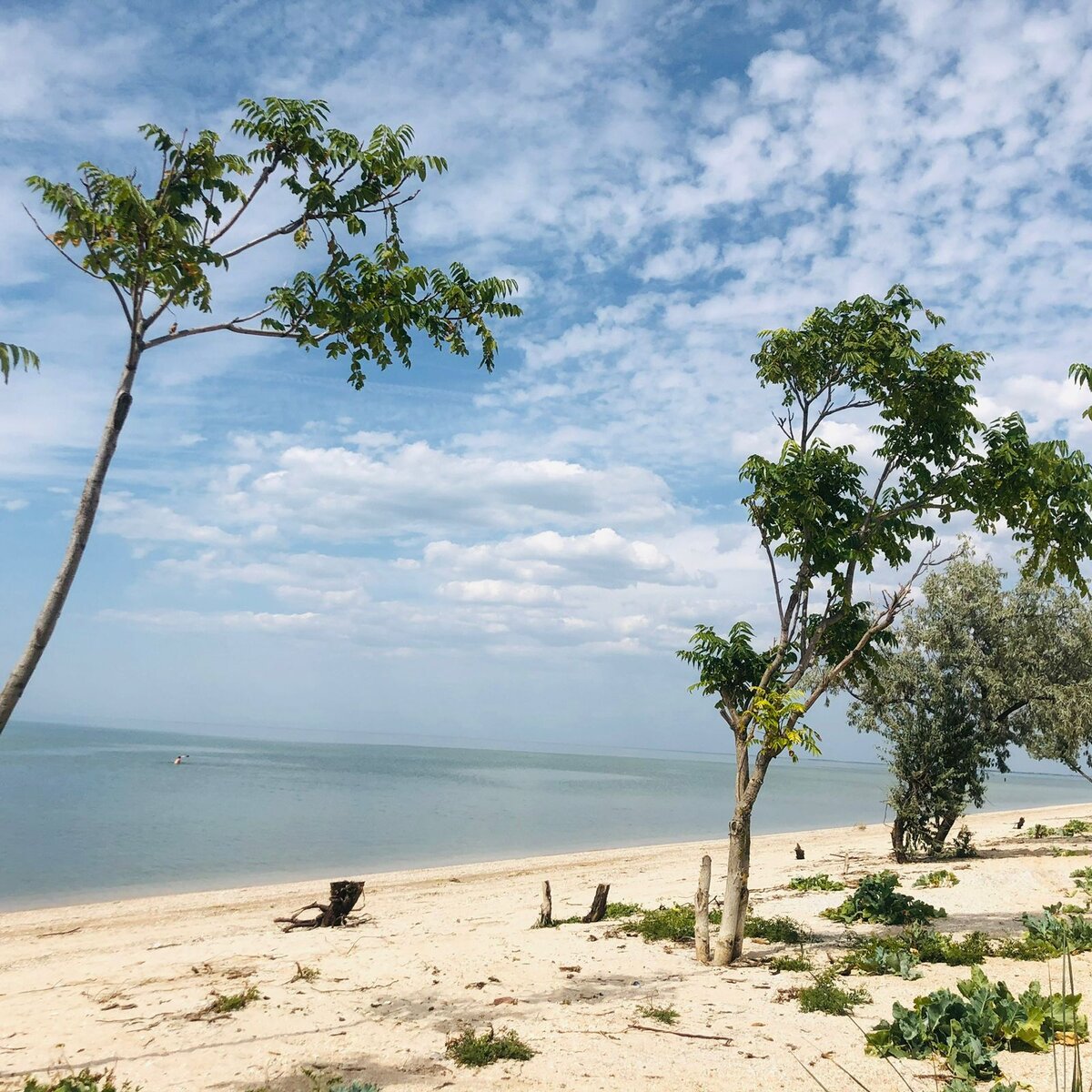 © Фото из личного архива Яны Любчанской