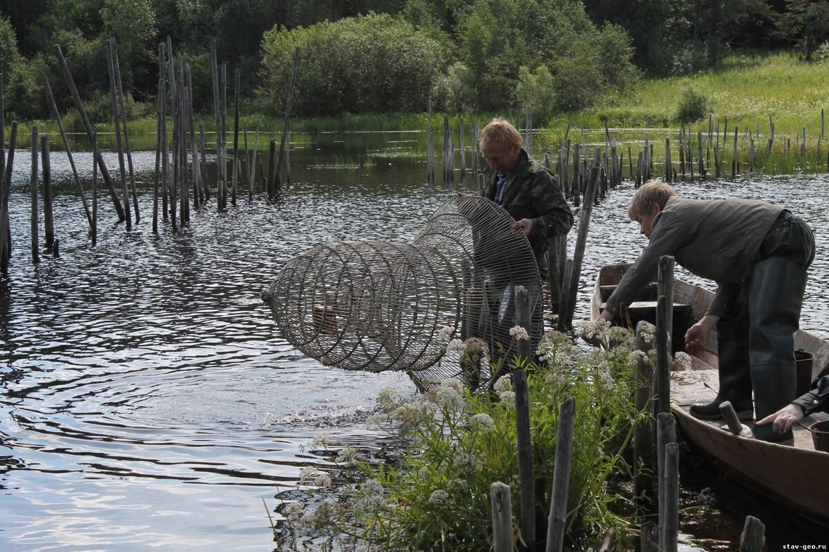 Ловлю рыбы ивовыми мордами надо прировнять к народному промыслу. Фото из открытых источников "Яндекс картинки" 