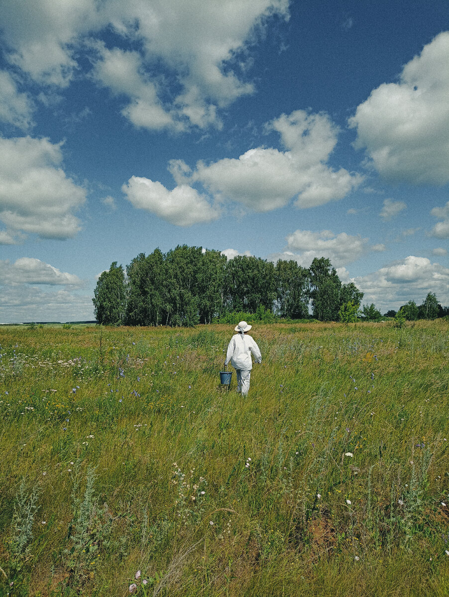 Самое важное найти свое ягодное место