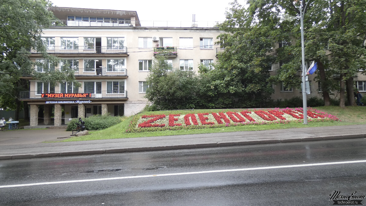 Зеленый город зеленогорск. Балашихинская картинная галерея. 5 Школа г. Нальчик. Галерея Балашиха. 12 Школа Нальчик
