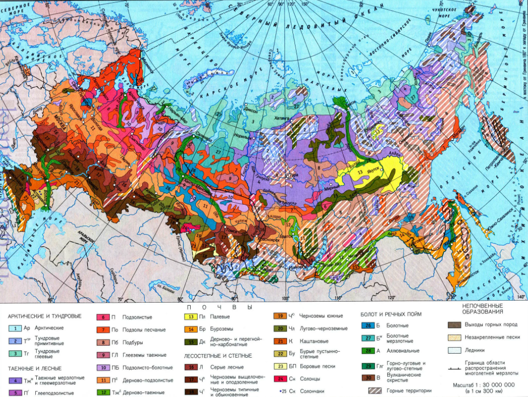 Почвенная карта России