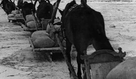 из свободных источников