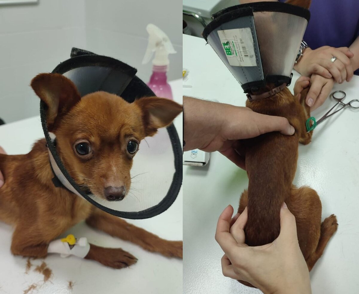 Чили в день приезда. 