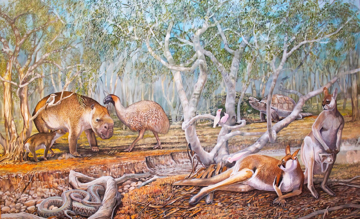 Сумчатый лев «Тилаколео». Австралийский псевдо - лев плейстоцена. Вымершее животное. Факты о животных