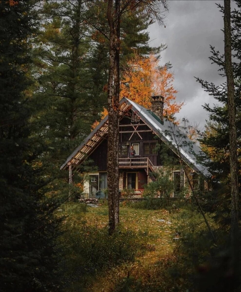 фото взято с платформы Яндекс картинки