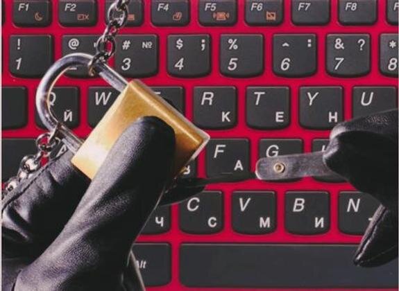    Аргументы недели, Олеся Аверьянова