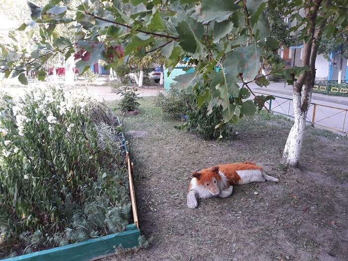 Нижний Новгород, 14 августа 2018