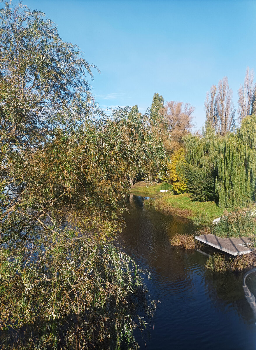 Осенняя красота