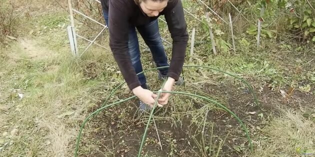 Кадр: Садовая видеошкола «Сияние» / YouTube📷
